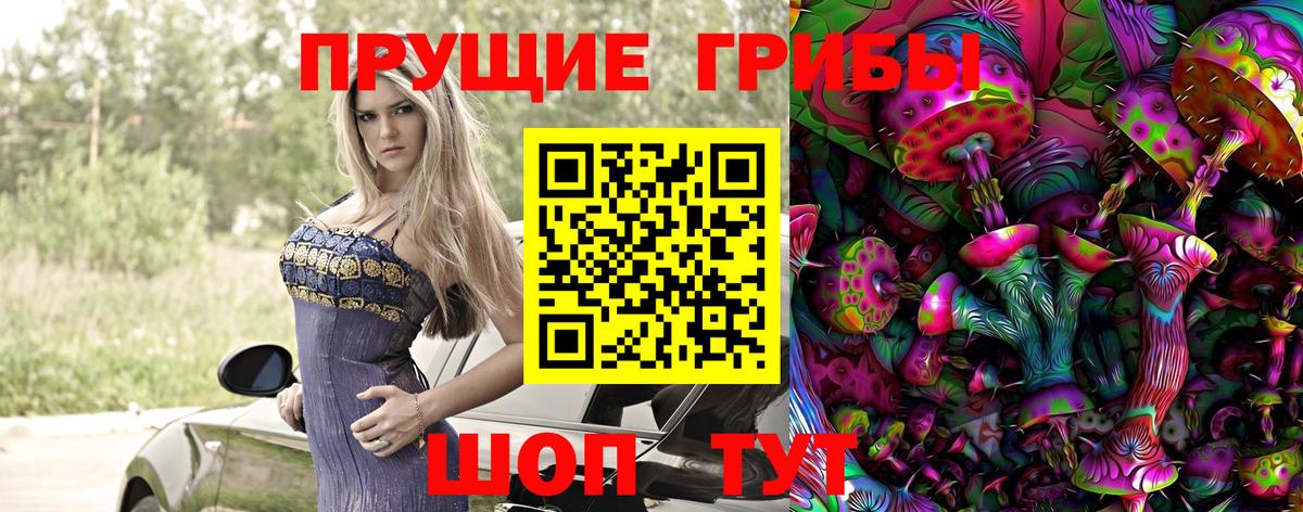 что такое наркотик  Галлюциногенные грибы MAGIC MUSHROOMS  Вход с VPN  Псилоцибиновые грибы Psilocybine cubensis  Саратов 